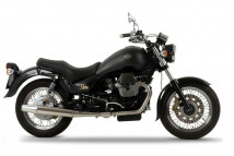 CALIFORNIA JACKAL KD