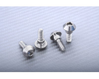 Disc Screw