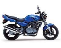 Kawasaki ER5 1996-2006 ER500