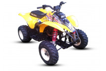 TRAIL BLAZER 250 1999-2006