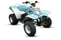 TRAIL BOSS 250 1991-1999