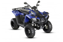 TRAIL BOSS 330 2010-2014