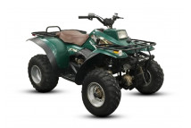 XPLORER 250 2000-2002