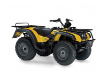 KING QUAD 300 1991-2002