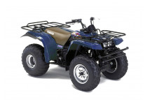 BIG BEAR 350 1987-1997