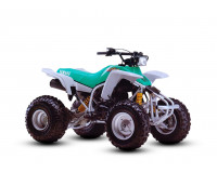 Yamaha BLASTER 200 1987-2007