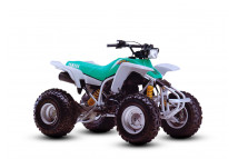 BLASTER 200 1987-2007