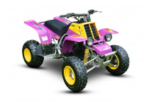 BANSHEE 350 1987-2008