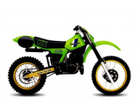 Kawasaki KX 250 1982