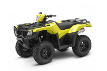 FOREMAN 520 2010-2023