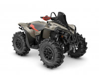 CAN-AM RENEGADE 850 2016-2019