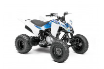 YFM RAPTOR 125 2011-2013